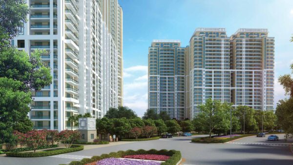 DLF Crest - Image 2