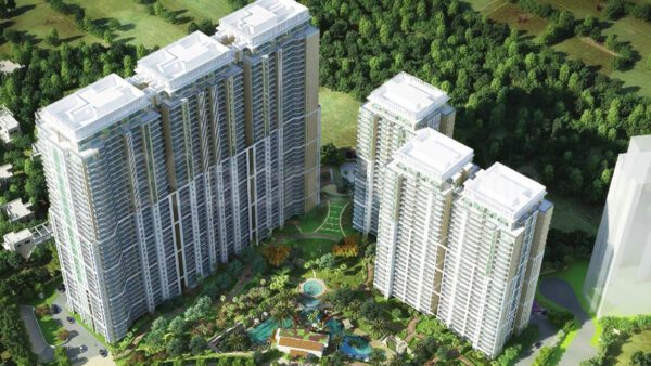DLF Crest - Image 4